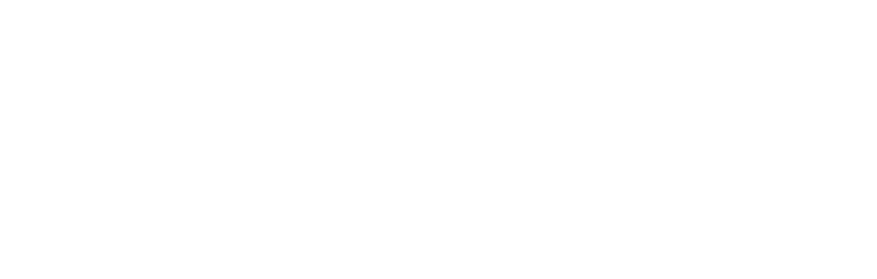 Consórcio SPA